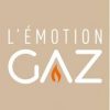 emotion gaz (2017_02_21 14_34_21 UTC)